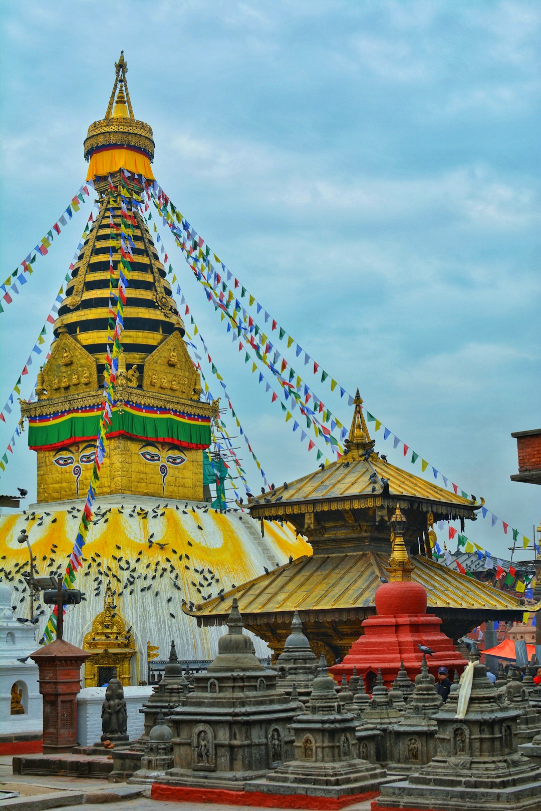 Nepal Tours